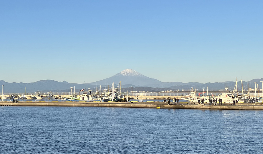 鎌倉大船イトウデザイン新年の江ノ島